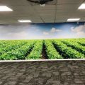 Vitaal Europe - Evesham